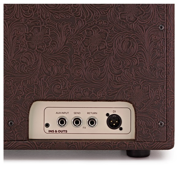 Ashdown Woodsman Jumbo Acoustic Amplifier