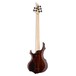 ESP LTD F-155DX Bass Guitar, Walnut Brown - back