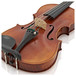 Stentor Arcadia Violin Outfit With Pirastro Evah Pirazzi String Setup
