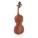 Stentor Arcadia Violin Outfit With Pirastro Evah Pirazzi String Setup
