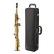 Yanagisawa SWO1 Sax and Case