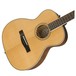 Fender PM-TE Standard Travel Electro Acoustic, Natural Body View