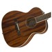 Fender PM-TE Standard Travel Electro Acoustic, All Mahogany Body View