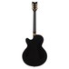 Schecter Coupe, Gloss Black rear view