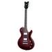 Schecter Solo-6 Standard, Black Cherry front view