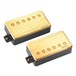 Fishman Fluence Multi Voice Classic Humbucker Set, Gold