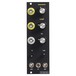 Birdkids The Bateleur VCO Expander - Main