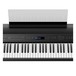 Roland FP 90 Digital Piano, Black