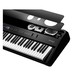 Roland FP 90 Digital Piano, Black