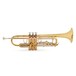 Elkhart 100TR Student Trumpet