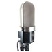 Golden Age Project Active Ribbon Microphone - Angled 2