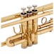Student Trumpet by Gear4music, Gold