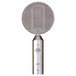 Golden Age Project R2 Passive Ribbon Mic - Front