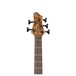 BTB845V 5-String Bass 2018, Antique Brown