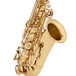 Rosedale Professional Alto Saxophone by Gear4music