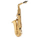 Rosedale Professional Alto Saxophone by Gear4music