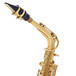 Rosedale Professional Alto Saxophone by Gear4music