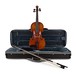 Primavera Loreato Violin Outfit, 3/4