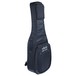 Schecter Pro Series Acoustic Gig Bag