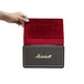 Marshall Stockwell Travel Speaker with Cover