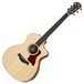 Taylor 214ce DLX Grand Auditorium Electro Acoustic Guitar (2017) Front View