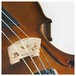 Stentor Student 2 Violin Close Up