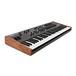 Dave Smith Instruments Prophet Synthesizer - Angled