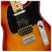 Fender LTD American Elite Nashville Tele, Sunburst