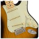 Fender LTD Strat-Tele Hybrid