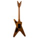 Dean Dimebag Far Beyond Driven ML, Trans Brazilia - back