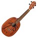 Ortega RUPA5MM Electro Pineapple Concert Ukulele, Natural