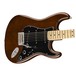 Fender American Special Stratocaster, Walnut