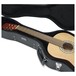 GW Deluxe Wood Case for Classical Guitars