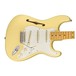 Fender Eric Johnson Thinline Stratocaster, White