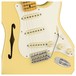 Fender Eric Johnson Thinline Strat