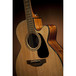 Takamine GN30CE-NAT