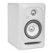 Rokit RP5 G3 Active Studio Monitor - Angled
