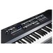 Kurzweil SP1 88 Key Stage Piano - Controls