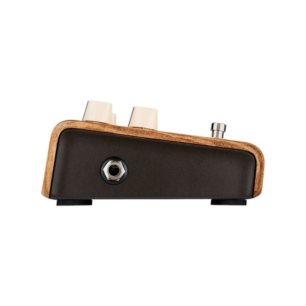 L.R. Baggs Align Series Session Pedal- Side left