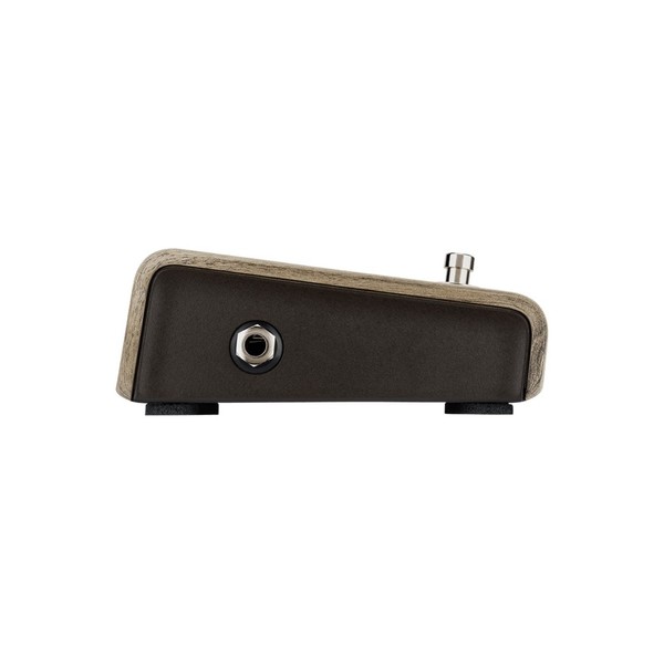 L.R. Baggs Align Series Active DI Pedal- Side Left