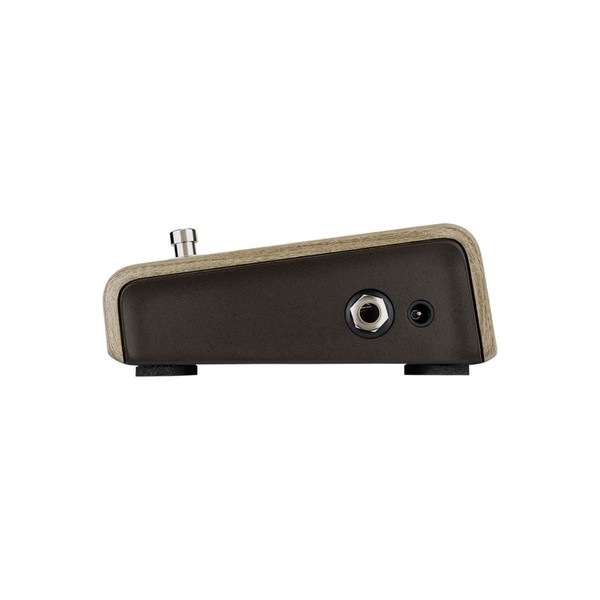 L.R. Baggs Align Series Active DI Pedal- Side Right