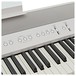 Roland FP-90 Digital Piano, White