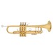 Bach TR337 Trumpet, Lacquer