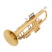 Bach TR337 Trumpet, Lacquer