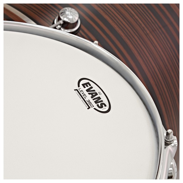 Natal Café Racer 22'' 4pc Shell Pack, Ebony Pinstripe Veneer