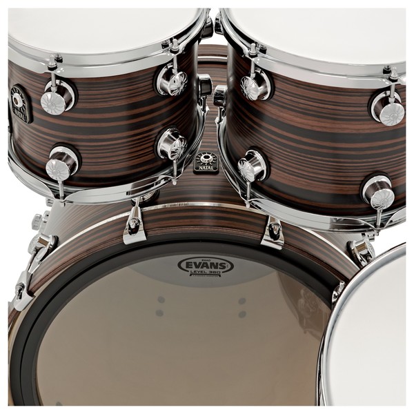 Natal Café Racer 22'' 4pc Shell Pack, Ebony Pinstripe Veneer
