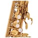 Trevor James SR Alto Saxophone, Gold Lacquer