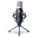 Marantz MPM-1000 Studio Condenser Microphone - Front