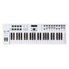 Arturia KeyLab Essential 49 MIDI Keyboard Top