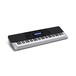 Casio WK-240 Portable Keyboard